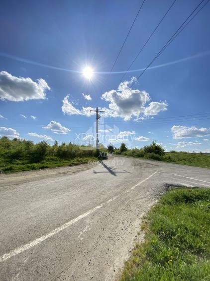 Teren intravilan 12631 mp , front stradal 151m /Sibiu/ Parc Ind. Selimbar - 8