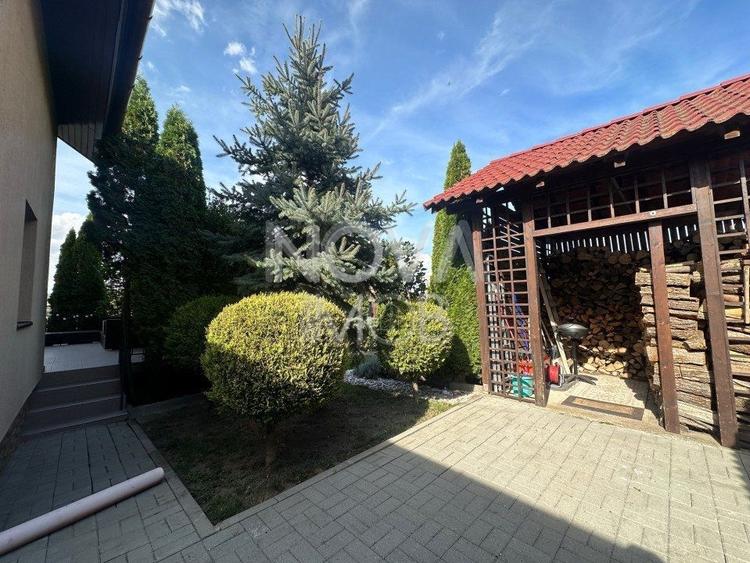 Casa individuala de vanzare - Sura Mare