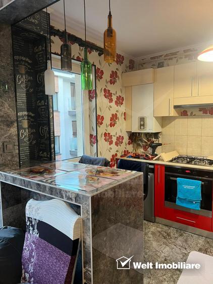 Apartament de 2 camere, recent renovat, zona Muzeul Apei, etaj 1, parcare !