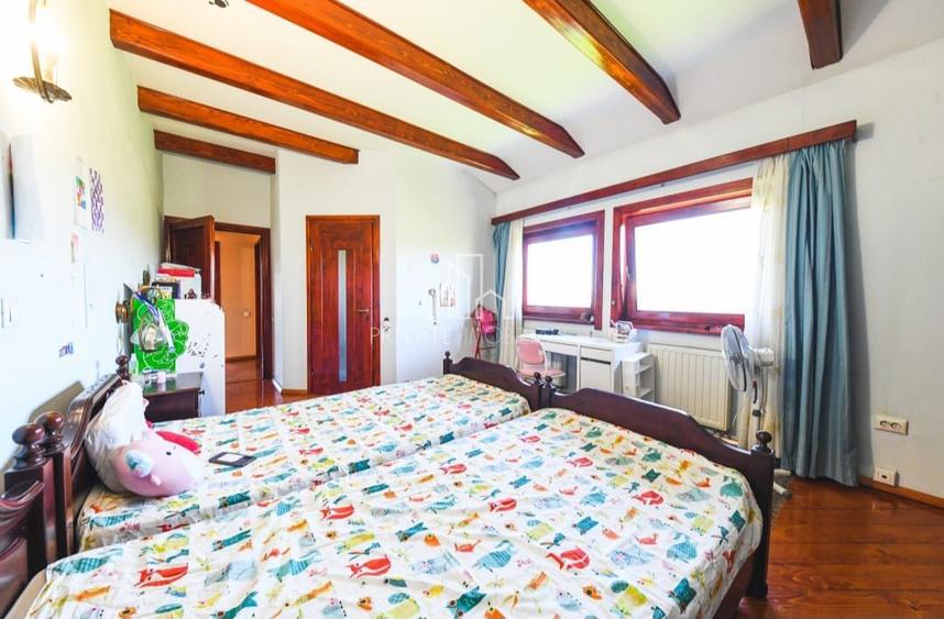 Vila/Proprietate Speciala, 500mp utili, 3300mp teren, Sangeorgiu de Ms