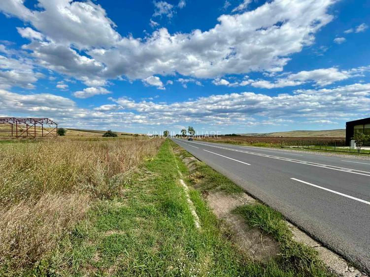 Teren 1.5 HA deschidere 155 m la E85 DN28 nod Autostrada Moldovei A8 intrare Letcani - 7
