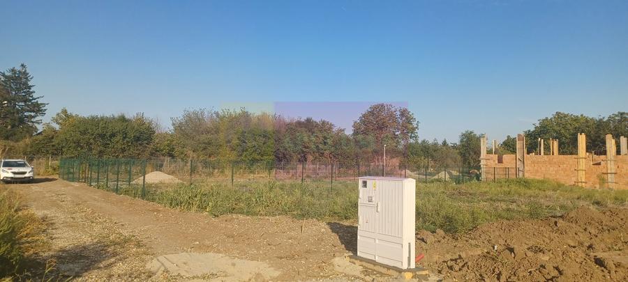 Săbăreni, lot de casă 500 mp, curent lângă teren