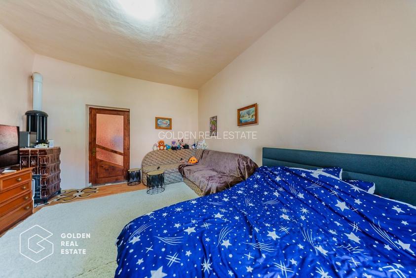 Casa foarte spatioasa cu gradina si gospodarie, Santana - 11