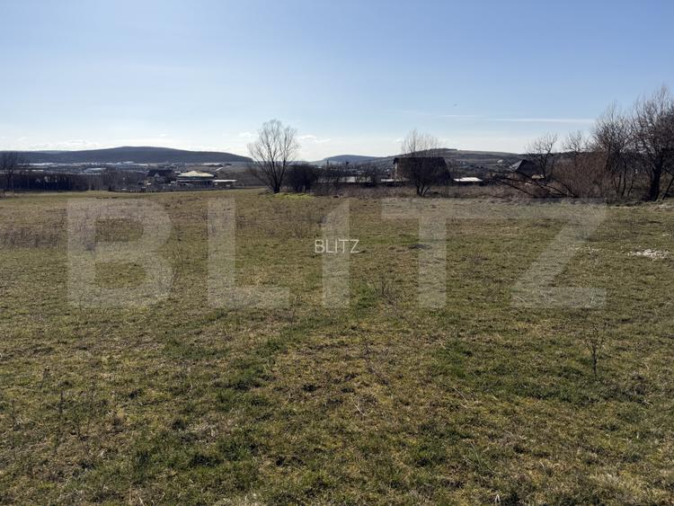 Teren intravilan in localitatea Hereclean in suprafata de 5800 mp - 4