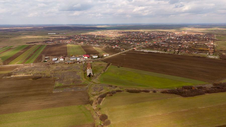 Fermă cu teren intravilan de 35000 mp în Mișca