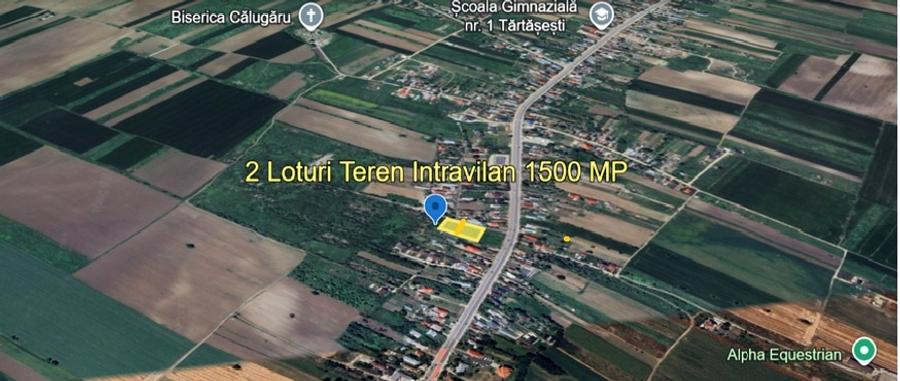 2 Loturi Teren Intravilan 1500 MP Tartasesti Deschidere 30 M / 36 M Utilitati