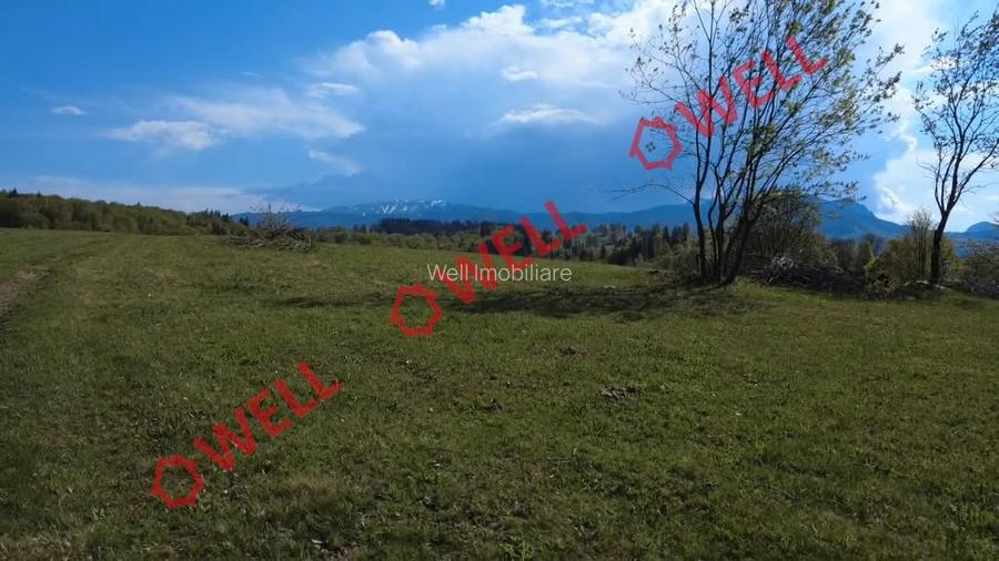De vânzare 2 terenuri extravilane în localitatea Vama Buzăului!