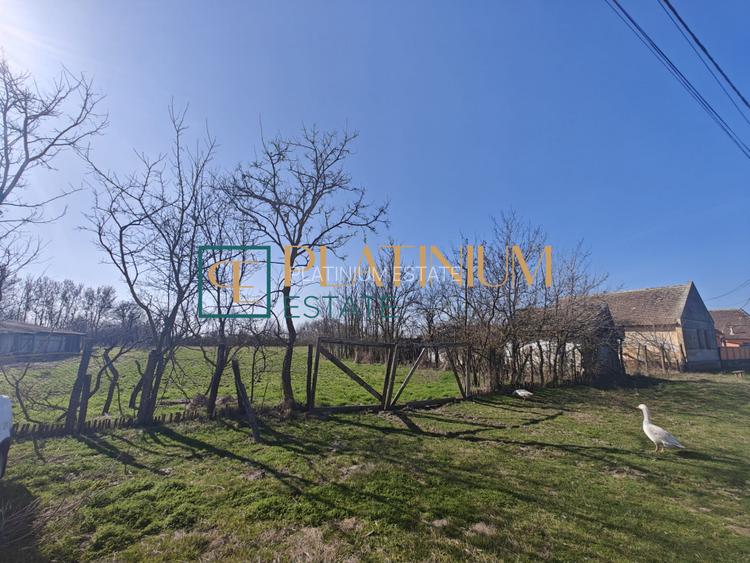 P4858 Casă bătrânească cu teren de 5.003mp, Cebza - 12