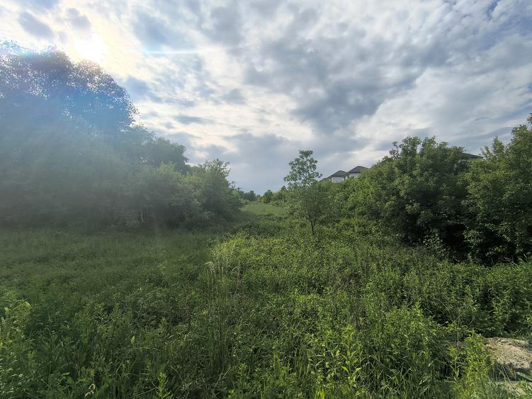 10.000 mp | Costica Arteni| Deschidere 40m | Ideal Dezvoltare Rezidențiala