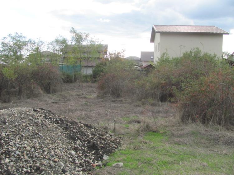 Cornetu - Taberei, Plopului