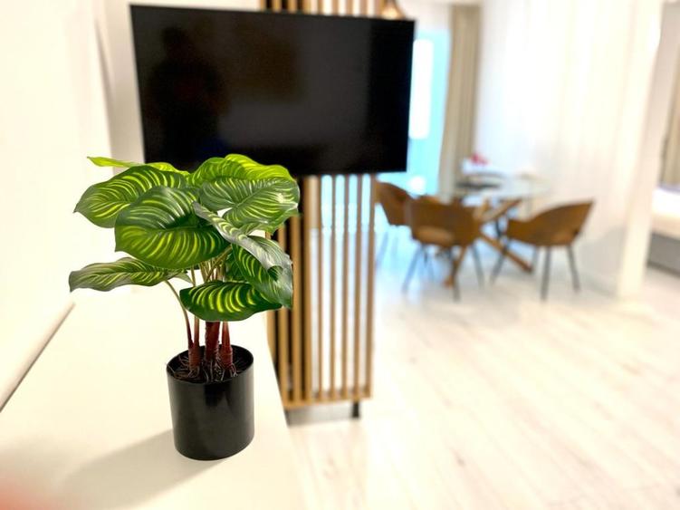 Inchiriez apartament 2 camere Lux | et 3 | Corneliu Coposu