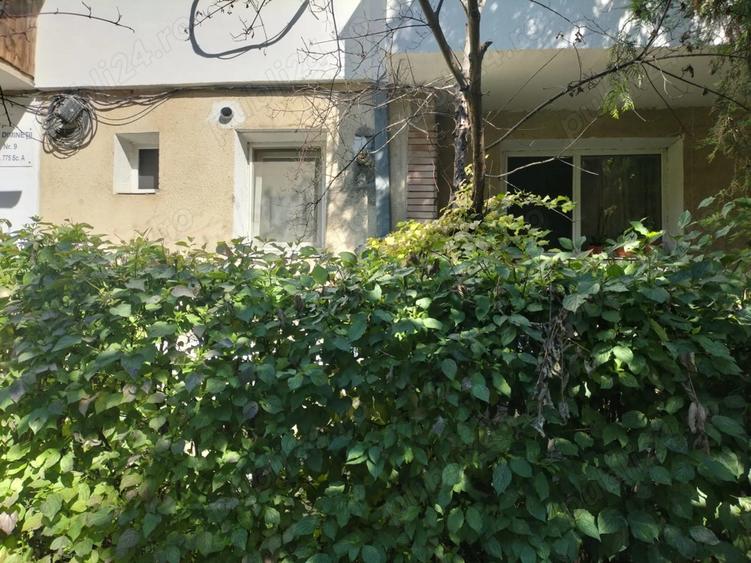 Apartament cu o cameră decomandat – Frumoasa, parter cu grădină