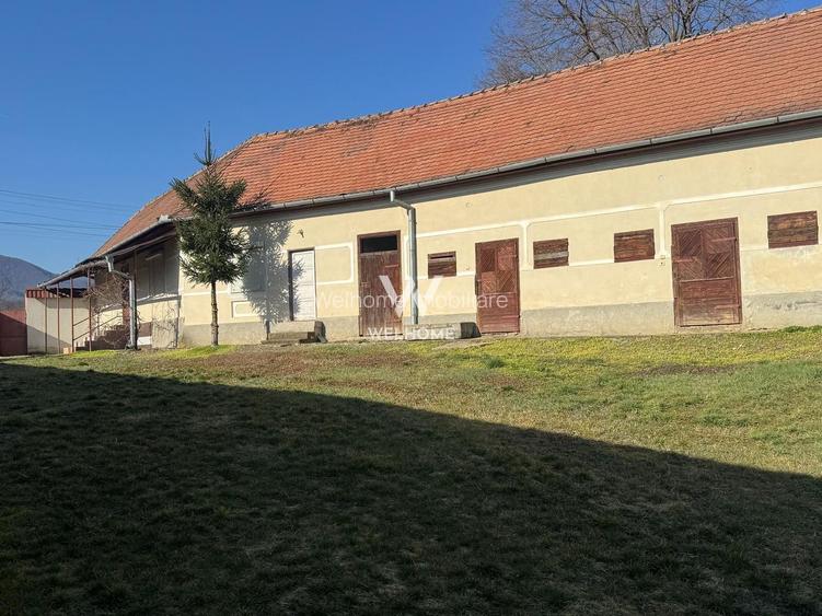 Casa cu lac in curte, Sacel, Sibiu - 2