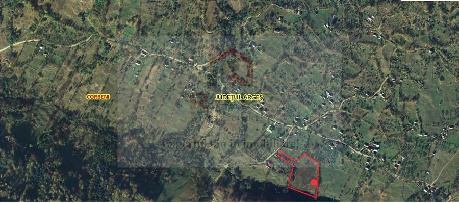 Teren extravilan de vânzare 11.740 mp Corbeni Turburea Argeș