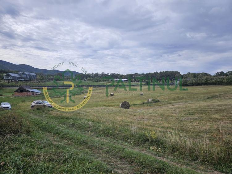 Teren de vanzare ,Tocile, Sibiu, case de vacanta si locuinte