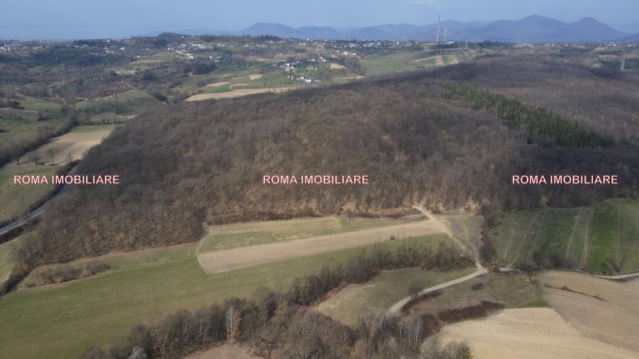 Teren superb de vânzare în Dumbrăvița – 3.750 mp