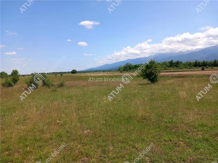 Teren intravilan 5000 mp pe Valea Avrigului, Sibiu - 9