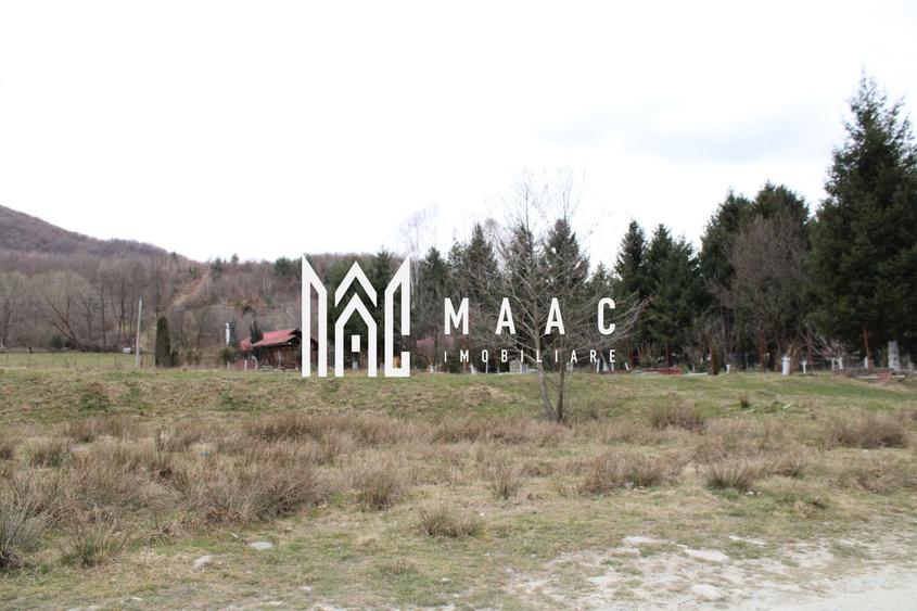 Teren Sebesul de Sus I 1100 mp I facilitati in apropiere