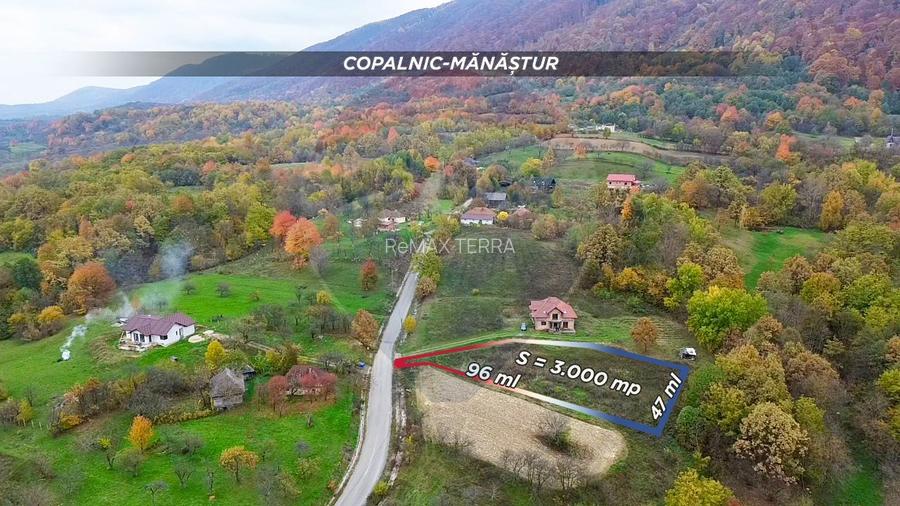 Teren intravilan de vânzare – Copalnic Mănăștur – 3.000 mp - 2