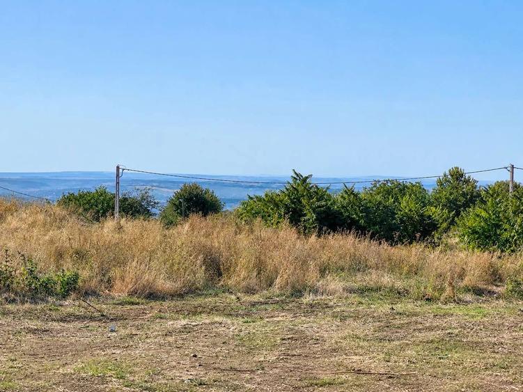 TEREN INTRAVILAN 10.000 MP, BUCIUM PĂUN, P+2E, PANORAMĂ IAȘI, 25 EURO/MP