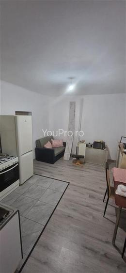 Decomandat 2 Camere / Curte Comuna cu Loc de Parcare / Zona Traian - 10