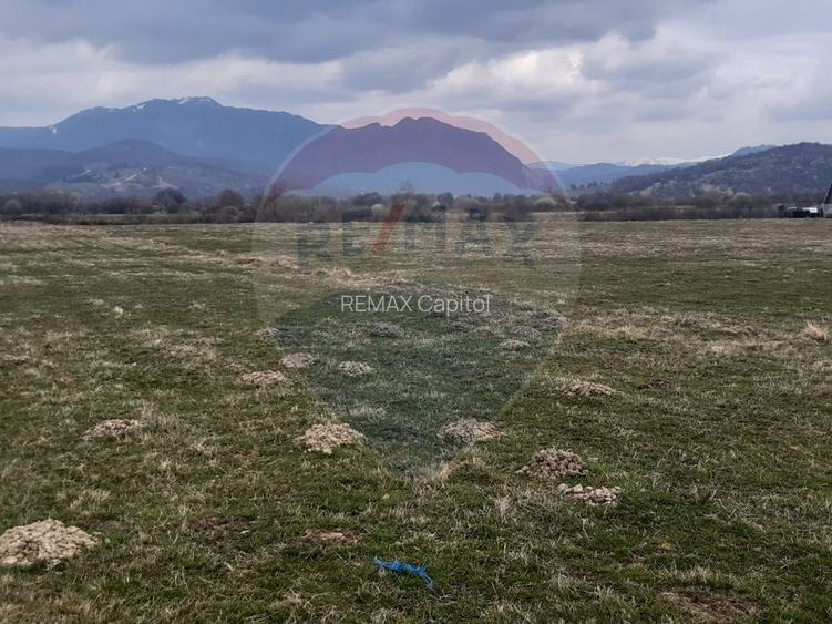 Teren 10,000mp Rasnov / Drumul Panicel - 9