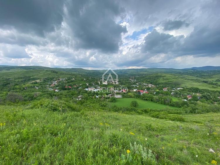 Domeniu 15.900 mp în Fințești | Casă + Investiție Dealu Mare