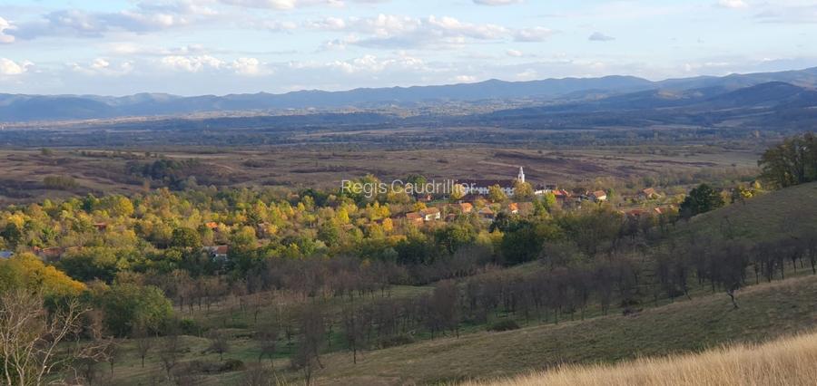 Casă tradițională cu anexe și teren generos – Satul Revetiș, județul Arad - 7