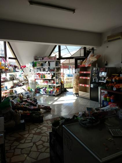 Spatiu Comercial 100 mp Triaj