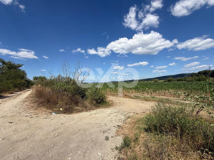 Teren 14.000 mp în Budeasa cu vedere superbă către baraj - 2