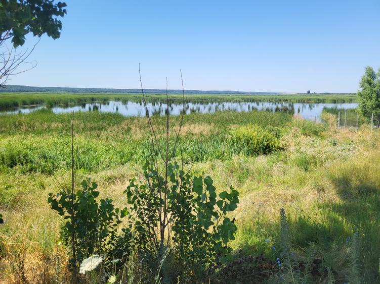 Teren 500 mp vis-a-vis de Parcul Comana/Delta Neajlovului . Posibilitate rate .