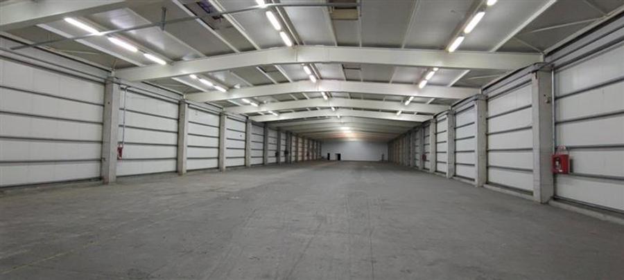 Vanzare depozit/hala/spatiu industrial Chiajna - Centura, ILFOV