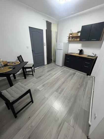Apartament 2 camere in Vila zona Cismigiu