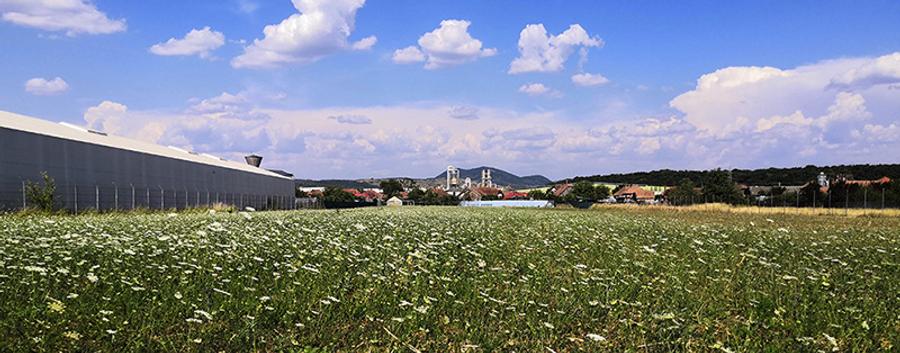 Teren intravilan 1,2 ha *12000 mp, casa 61 mp, sera, front stradal 15 m