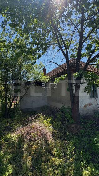 Casa cu teren 1100 mp și hala în curte, sat Cârbești - 6