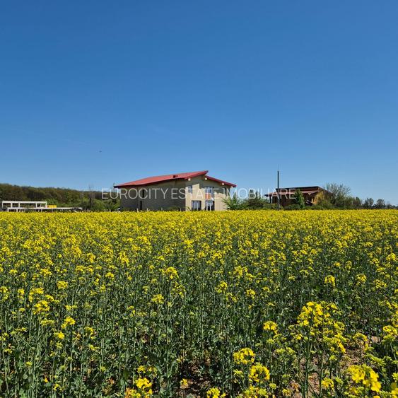 Ciolpani, spre Izvorani - COR, vanzare teren 5000mp. - 2