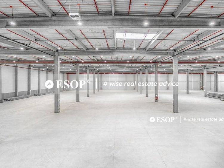 WDP Industrial Park Timisoara, spatii industrale, 2.500 - 25.000mp