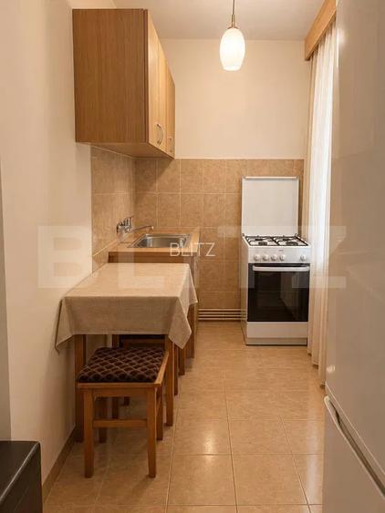 Garsoniera de inchiriere, 30 mp, pet friendly, zona Zorilor - 2