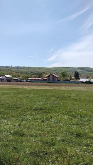 Teren extravilan 7.200 mp Bordea - Grajduri/ Oportunitate Investiție