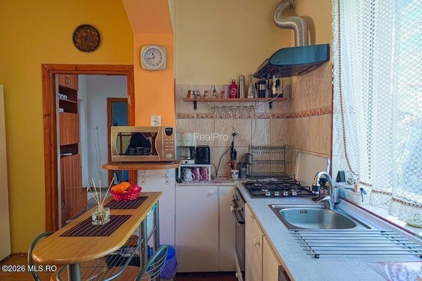 Lunei - Ion Neculce, 2 Apartamente. Mansarda 157 mp. Anexe, Lot 475 mp - 29