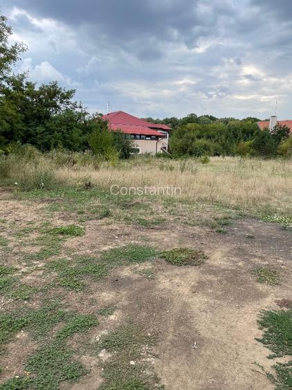 Vand teren intravilan 3774 mp Pădurea Scrovistea Peris Balteni - 3