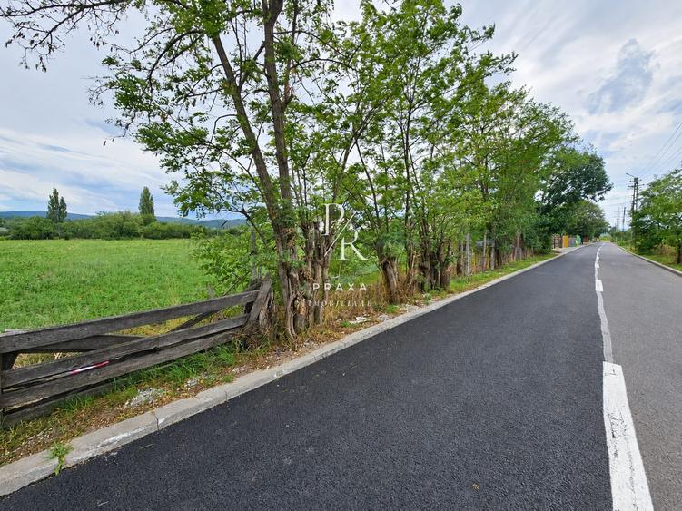 Teren intravilan drept 12.432mp, drum asfalt, utilitati, zona Centura Grigorescu