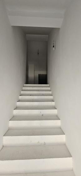 Dudestii Noi - Casa 7 Camere - Proiect 2 Familii