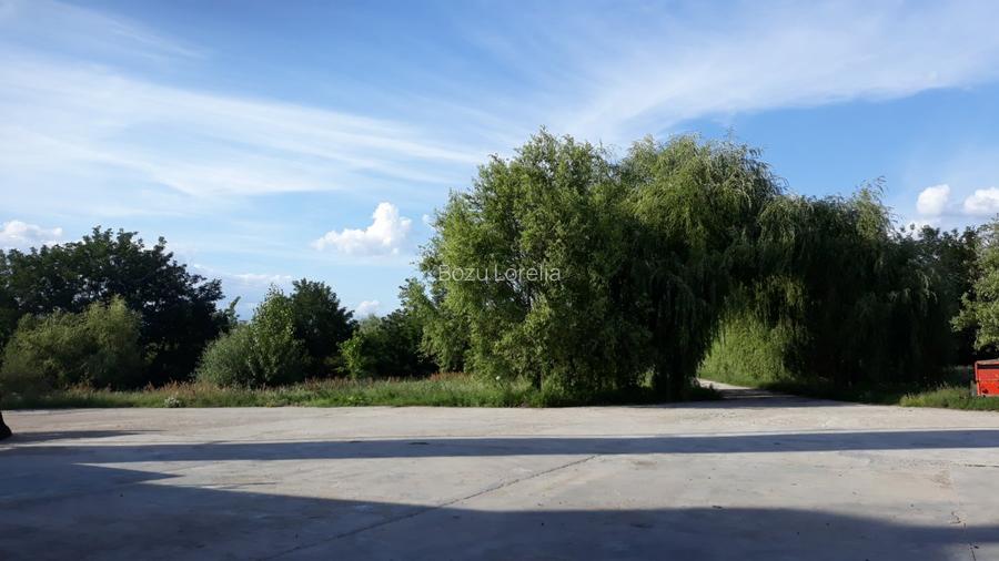 Hala cu dotari, afacere cu clienti, birouri-vestiare, teren, E60, langa Oradea - 3