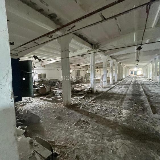 Complex industrial/Ferma de vânzare | Orțișoara, jud. Timiș - 27