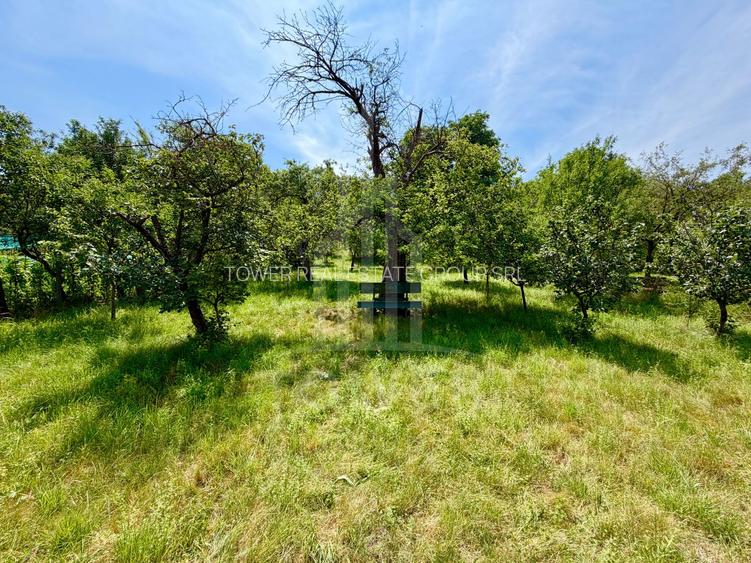 Casă de vânzare-teren 2.300 mp| Ocna Sibiului - 29