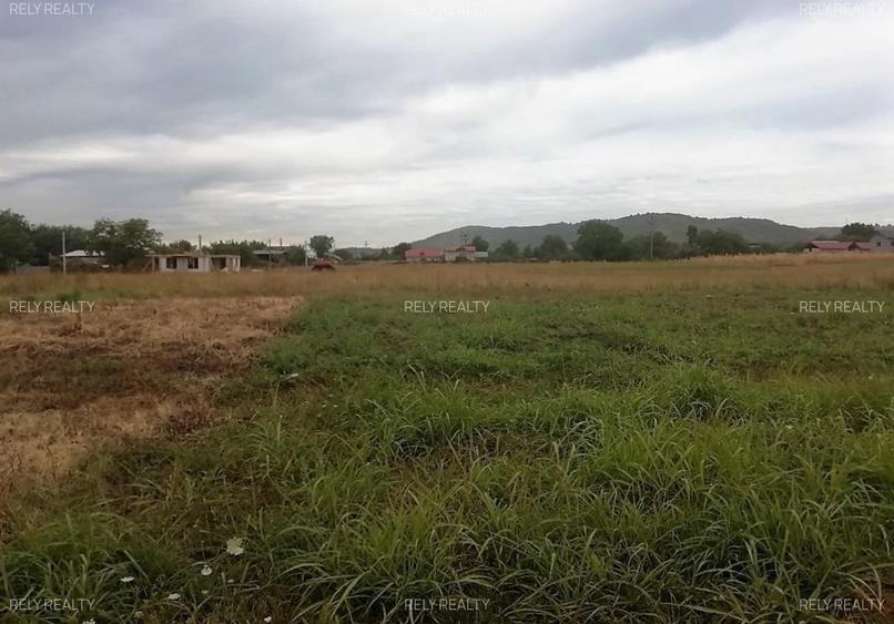 Vanzare teren Intravilan Aninoasa / 540 mp