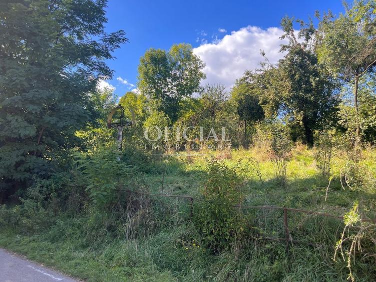 OPORTUNITATE!!! Teren Intravilan 2771 Mp Zona CIURILA  POSIBIL RATE