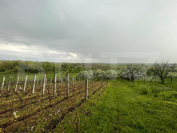 Teren intravilan, 4447 mp, 28 ml deschidere, Pielesti