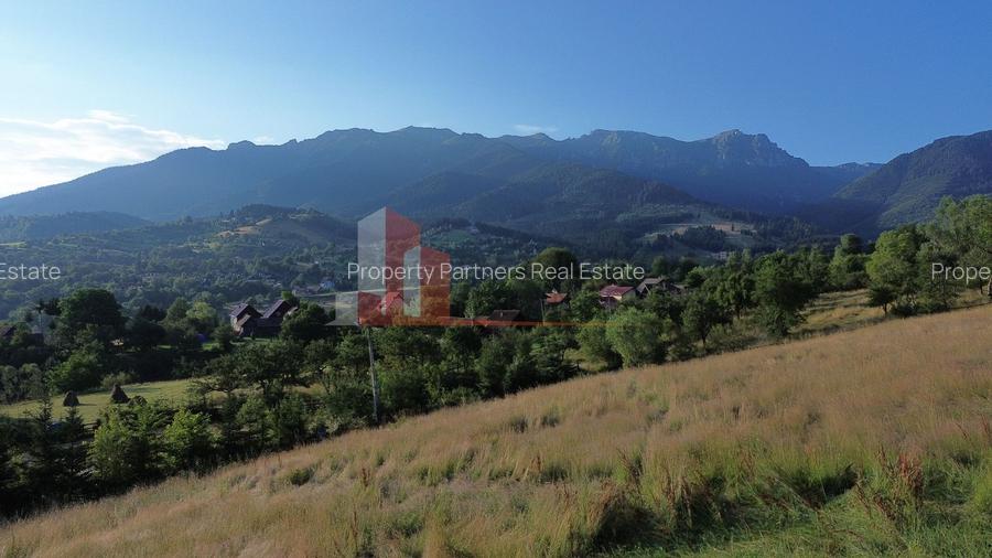 Teren 5760 mp- Bran Poarta - 8
